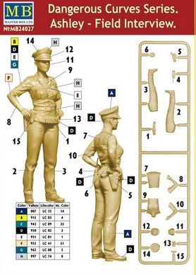 Figure 1:24 Ashley. Field Interview MASTER BOX 24027