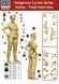 Figure 1:24 Ashley. Field Interview MASTER BOX 24027