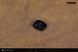 Фігура 1:12 Dune Paul Atreides Meng AFS-002
