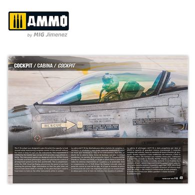 Pos_bnik with modeling "F-16 Fighting Falcon / VIPER" Ammo Mig 6029