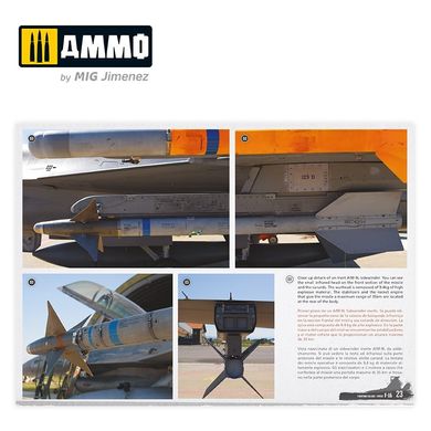 Pos_bnik with modeling "F-16 Fighting Falcon / VIPER" Ammo Mig 6029