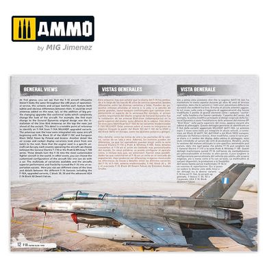 Pos_bnik with modeling "F-16 Fighting Falcon / VIPER" Ammo Mig 6029