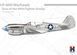 Assembled model 1:48 aircraft P-40N Warhawk Aces of the 49th Fighter Group Hobby 2000 48001