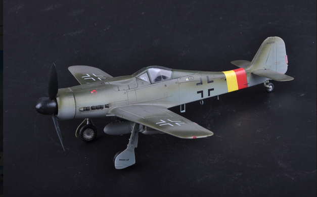 Assembled model 1/48 plane Focke-Wulf Fw 190D-9 HobbyBoss 81716