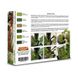 Набор акриловых красок и пигментов Lichens and Moss - Powder & Fixer Set 22 мл x 6 Life Color SPG06