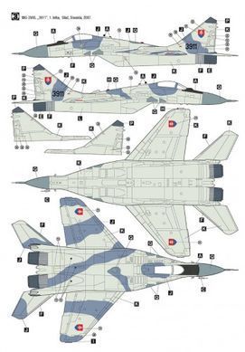 Assembled model 1:48 MiG-29 Czech And Slovak Air Force Hobby 2000 48024