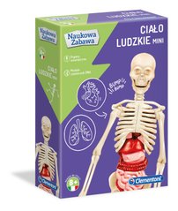 Навчальна розвага Анатомія людини: міні-скелет Clementoni 50515
