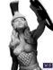 Figure 1:24 Series "Ancient Greek Myths". Perseus MASTER BOX 24032