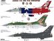 Збірна модель 1/48 винищувач F-16C Texas ANG The Lone Star Gunfighters Kinetic 48146