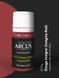 Enamel paint Rouge Insigne (Insignia Red) Red ARCUS 777