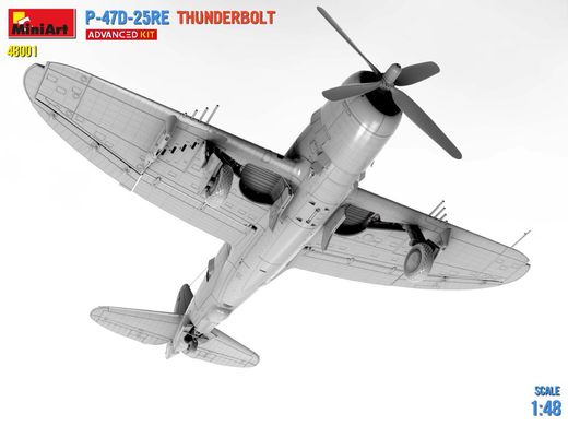 Сборная модель 1/48 самолет Republic P-47D-25RE Thunderbolt (Расширенный комплект) Miniart 48001