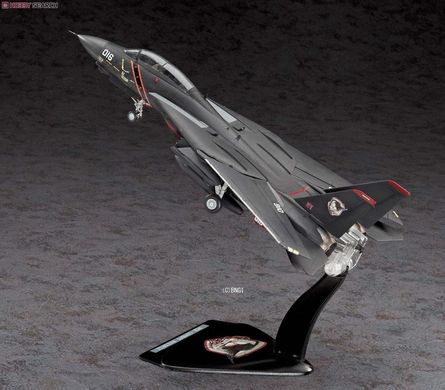 Assembled model 1/72 fighter F-14A Tomcat 'Ace Combat Razgriz' Hasegawa SP313