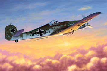 Assembled model 1:48 aircraft FW190D-10 Hobby Boss 81717