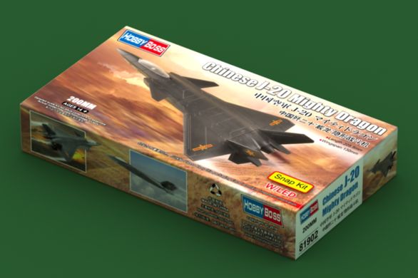 Assembled model 1/100 Chinese fighter Chinese J-20 Mighty Dragon Hobby Boss 81902