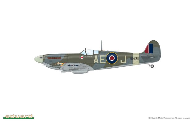 Assembled model 1/48 plane Spitfire Mk.Vb mid WEEKEND edition Eduard 84186