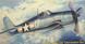Assembled model 1/48 fighter Grumman F6F-3 Hellcat "USS Essex" Hasegawa 09134