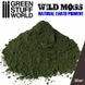 Натуральні землисті пігменти для моделістів Pigment WILD MOSS 30 мл GSW 1770