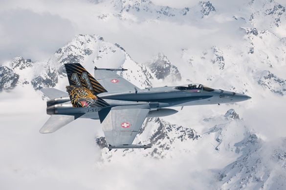 Збірна модель 1/72 реактивного літака F/A-18 Hornet Tiger Meet 2016 Italeri 1394