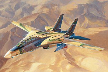 Сборная модель 1:48 истребитель Persian Cat F-14A TomCat &ndash; IRIAF Hobby Boss 81771