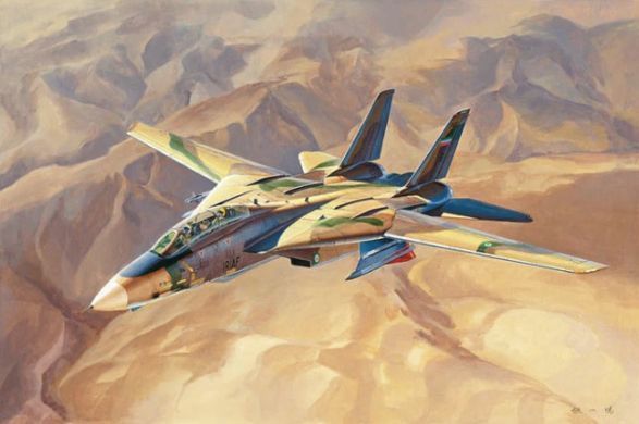 Збірна модель 1:48 винищувач Persian Cat F-14A TomCat - IRIAF Hobby Boss 81771